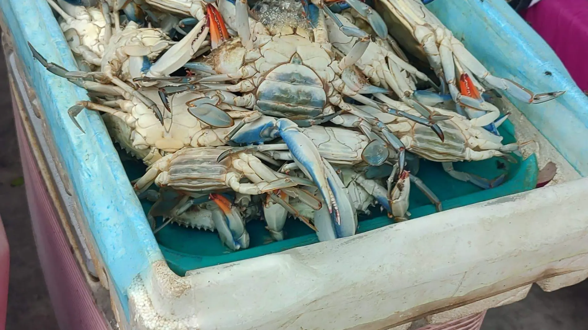 Abraham Zárate, el pescador de jaibas que lucha por salir adelante en el norte de Veracruz